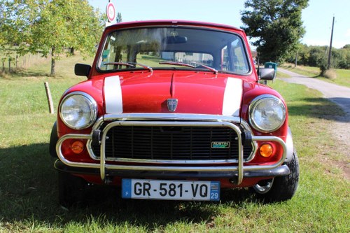 1991 Mini Classic Traveller A vendre