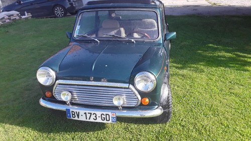 1992 Mini Classic Traveller Kaufen Bei