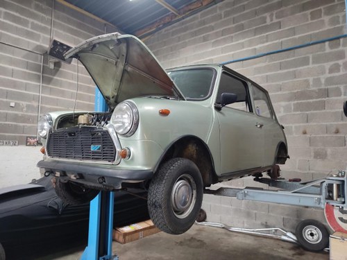 1983 Mini Classic 1000 Te koop