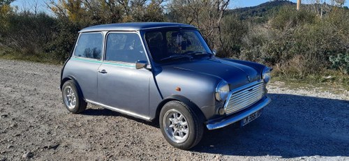 1990 Mini Classic Traveller Kaufen Bei