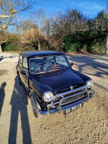 1992 Mini Classic Traveller In vendita