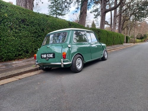 1967 Mini Cooper S Mk1 Te koop