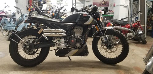 2019 Mondial Champion Kaufen Bei