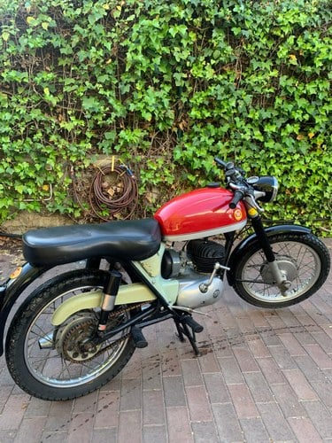 1966 Montesa Impala