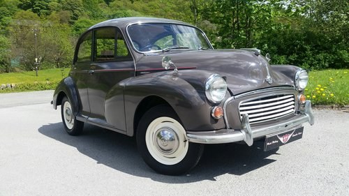 1964 Great all rounder at a very reasonable price tag! In vendita
