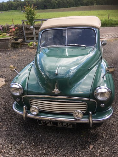 1954 Morris Minor Convertible For Sale