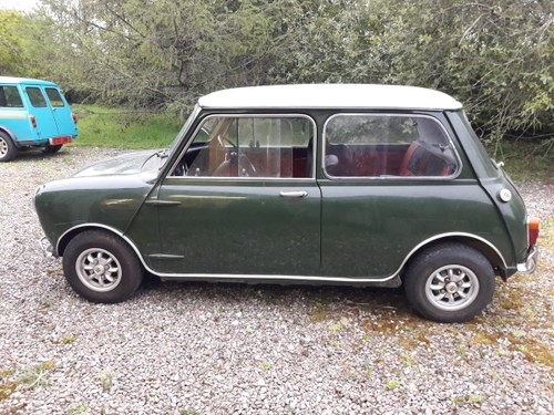 1966 Morris Mini Cooper Mk1 For Sale