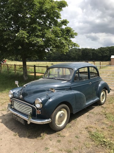Morris Minor 1000 In vendita