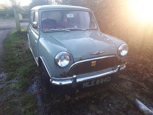 1966 Austin Mini - Emily needs a new home and TLC For Sale