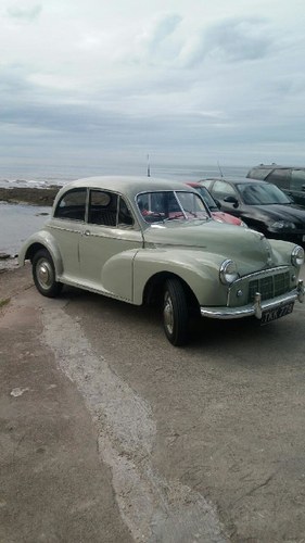 1954 Morris Minor In vendita