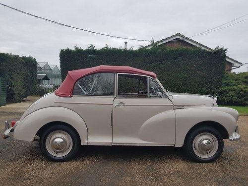 1955 Morris Minor For Sale