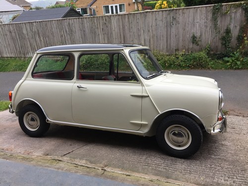1966 Morris Mini Cooper
