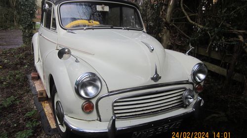 Picture of 1964 morris minor 1100 genune factory  convertabe - For Sale