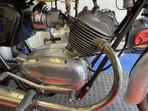 1964 Moto Guzzi Stornello - 3