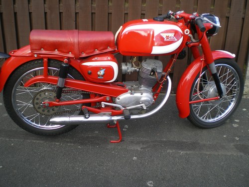Moto Morini Corsaro 125cc 1960, Lovingly Restored Moto Giro For Sale