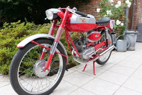 MOTO MORINI Corsarino course 50 cc - 1975 Kaufen Bei
