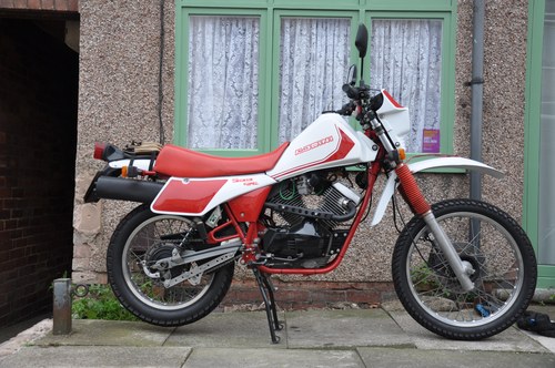 1984 Moto Morini camel