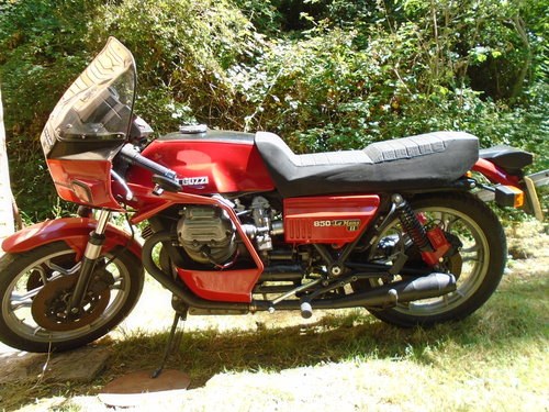 1981 Genuine Le Mans 11 For sale Kaufen Bei