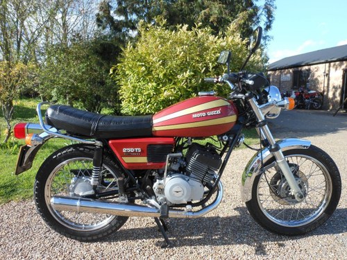 1981 Moto Guzzi In vendita