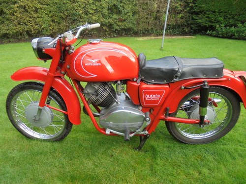 1959 moto guzzi 235 lodola gran turismo stunning Kaufen Bei