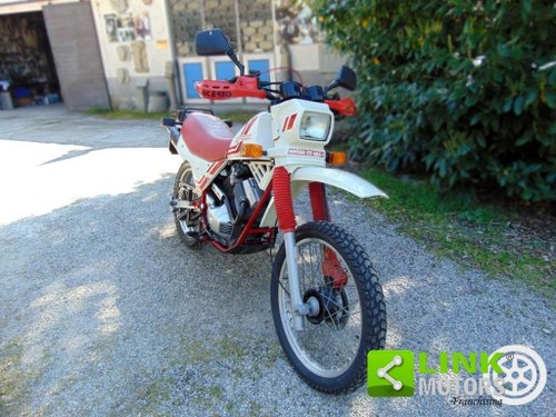 1984 MOTO MORINI 3 12 Kanguro Kaufen Bei