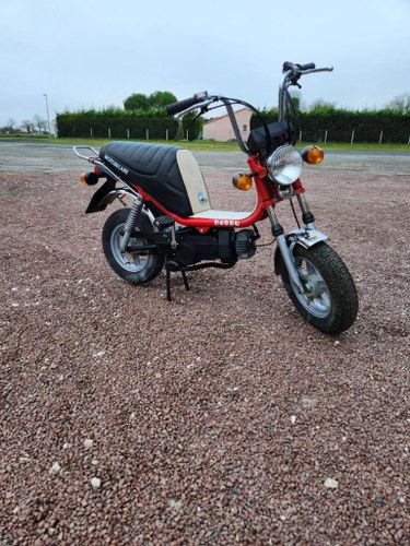 1981 MOTOBECANE hobby Kaufen Bei