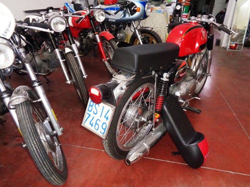 1969 Motobi Sprite - 3