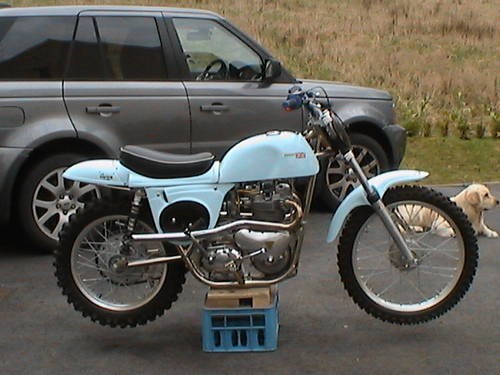 750 cc Triumph Metisse Pre 1965 Scrambler VENDUTO
