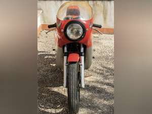 1976 MV Agusta For Sale (picture 7 of 12)
