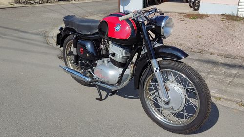 Picture of 1956 MV Agusta 250 RAID - For Sale