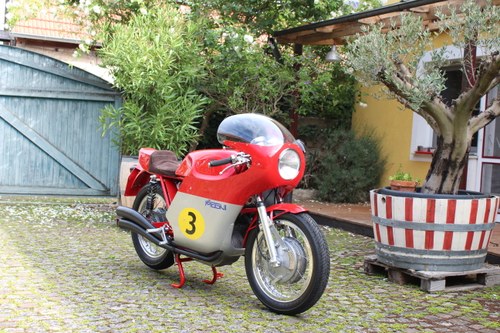 1975 MV Agusta 750S / Magni