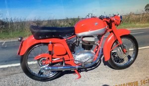 1954 mv agusta 1956  175CC  NEW PRICE TO SELL For Sale