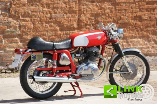 1971 MV AGUSTA S 350 MV-Agusta 350 B Sport iscritta ASI targa oro A vendre