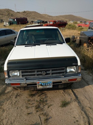 1991 Nissan Pickup For Sale by Auction