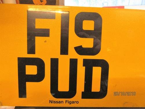 f19 pud                suit   nissan figaro In vendita