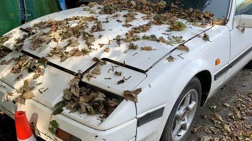 Picture of 1987 nissan 300 zx targa dismantling for parts - For Sale