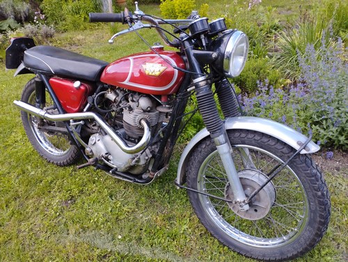 1967 Norton P11