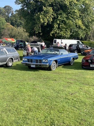 1975 Oldsmobile Delta