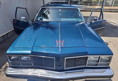 1979 Oldsmobile Custom Cruiser In vendita