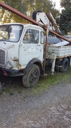 1976 Tigrotto M5K 4x4 with crane For Sale