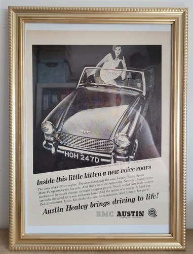 1970 Original 1967 Austin Healey Sprite Framed Advert For Sale