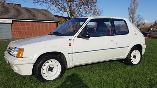 1989 Peugeot 205 Euro Rallye In vendita