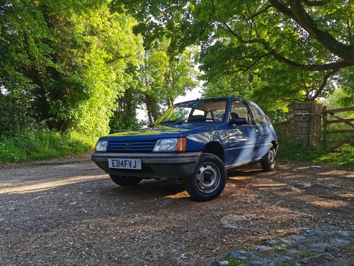 1988 PEUGEOT 205 XE - Reluctant sale of beautiful Peuge For Sale