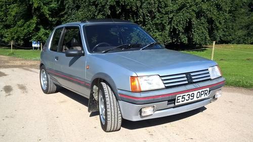 205GTI (1988) 1.9 For Sale