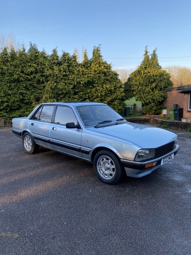 1987 Peugout 505 GTI For Sale