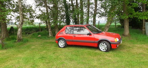 1990 Peugeot 205 1.9 Gti For Sale