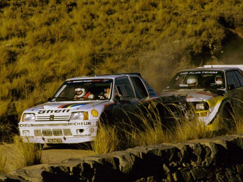 1985 Peugeot 205 T16 Group B Rally Car In vendita