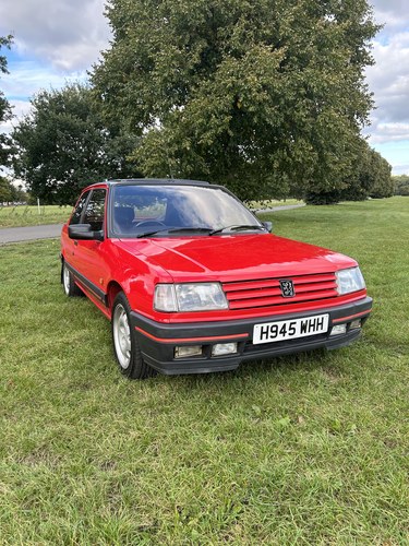 1991 Peugeot 309 Gti