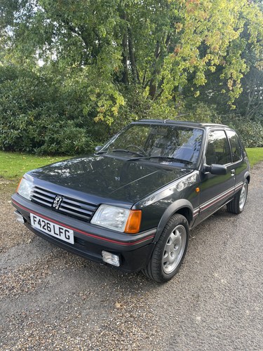 1989 Peugeot 205 Gti