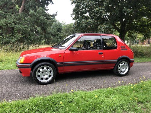 1989 Peugeot 205 GTi